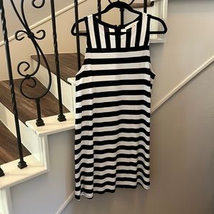 Loft Sleeveless Dress